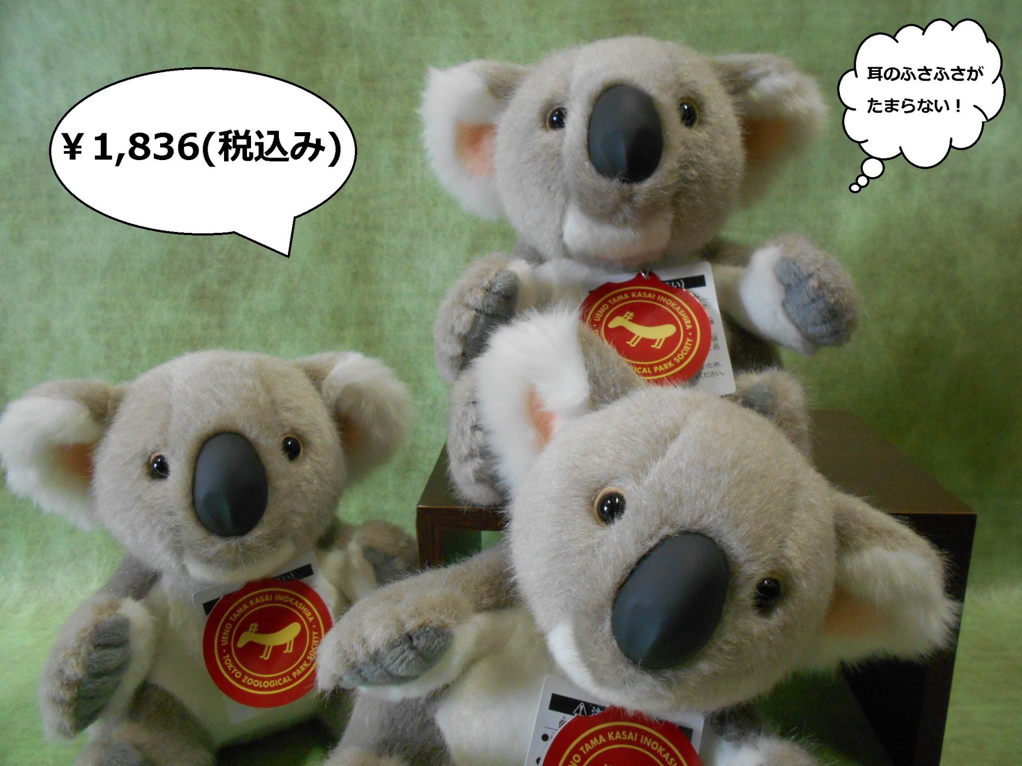 多摩動物公園［公式］ on X: 