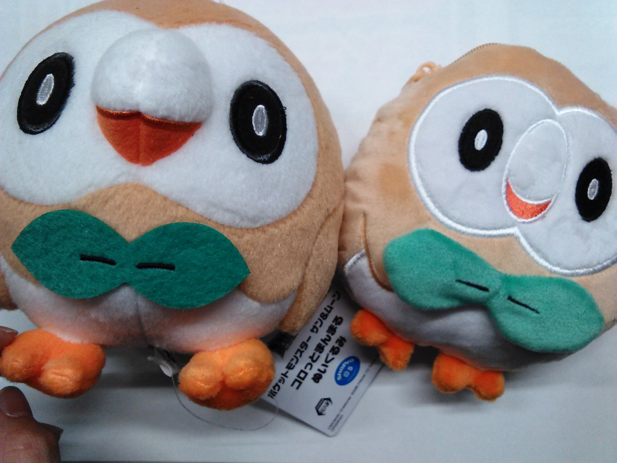 تويتر K Books Game館 على تويتر 愛されること間違いなしのポケモン モクローが入荷致しました アニメでの鳴き声を演じられてるのがあの 林原めぐみ さんと知ったときは衝撃を受けました ポケモン Pokemon モクロー Kbooks T Co Cm4syl9gyh