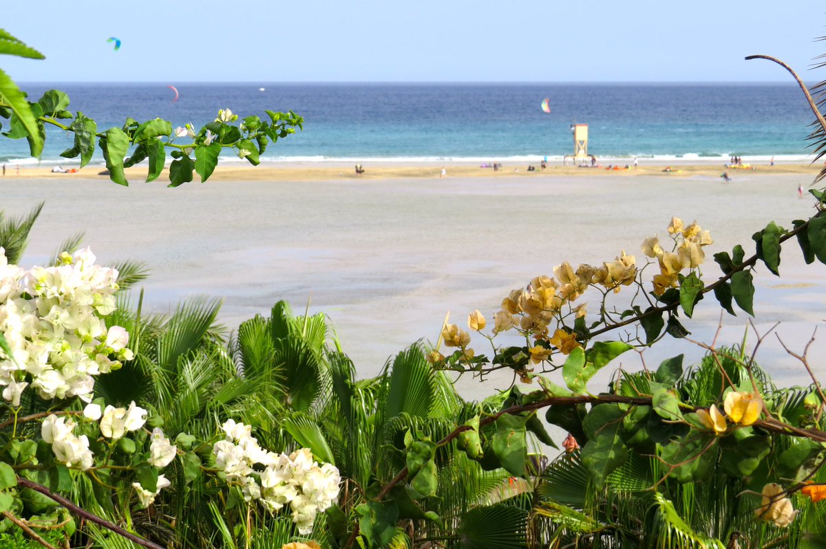 GillichMarion's tweet image. #WonderfulEurope #Fuerteventura a #kitesurfing paradise, great for bloody beginners like me #traveltheworld