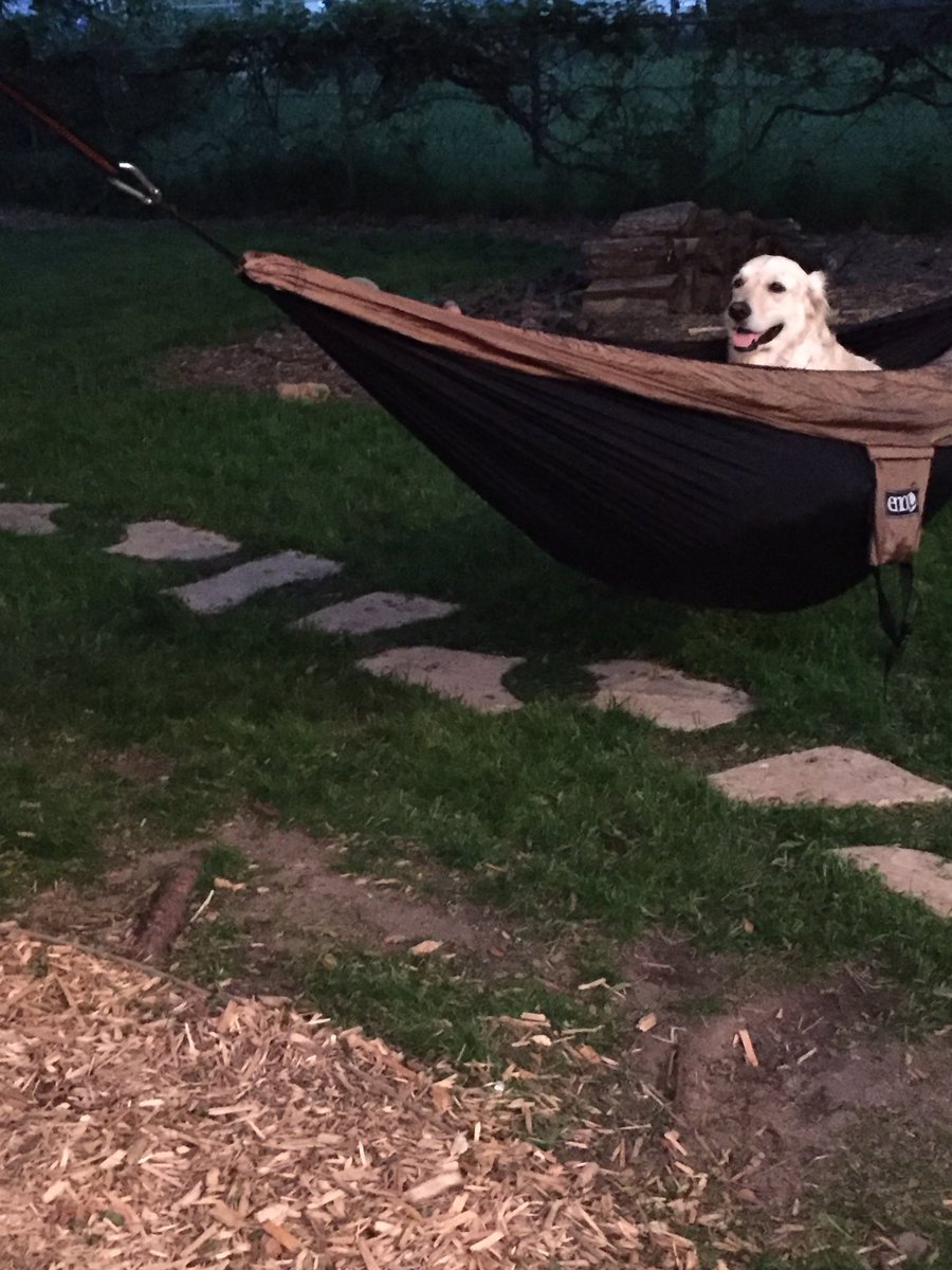 LindsayGolz's tweet photo. #mocking #libbysadventures https://t.co/LPWnG1pJC0