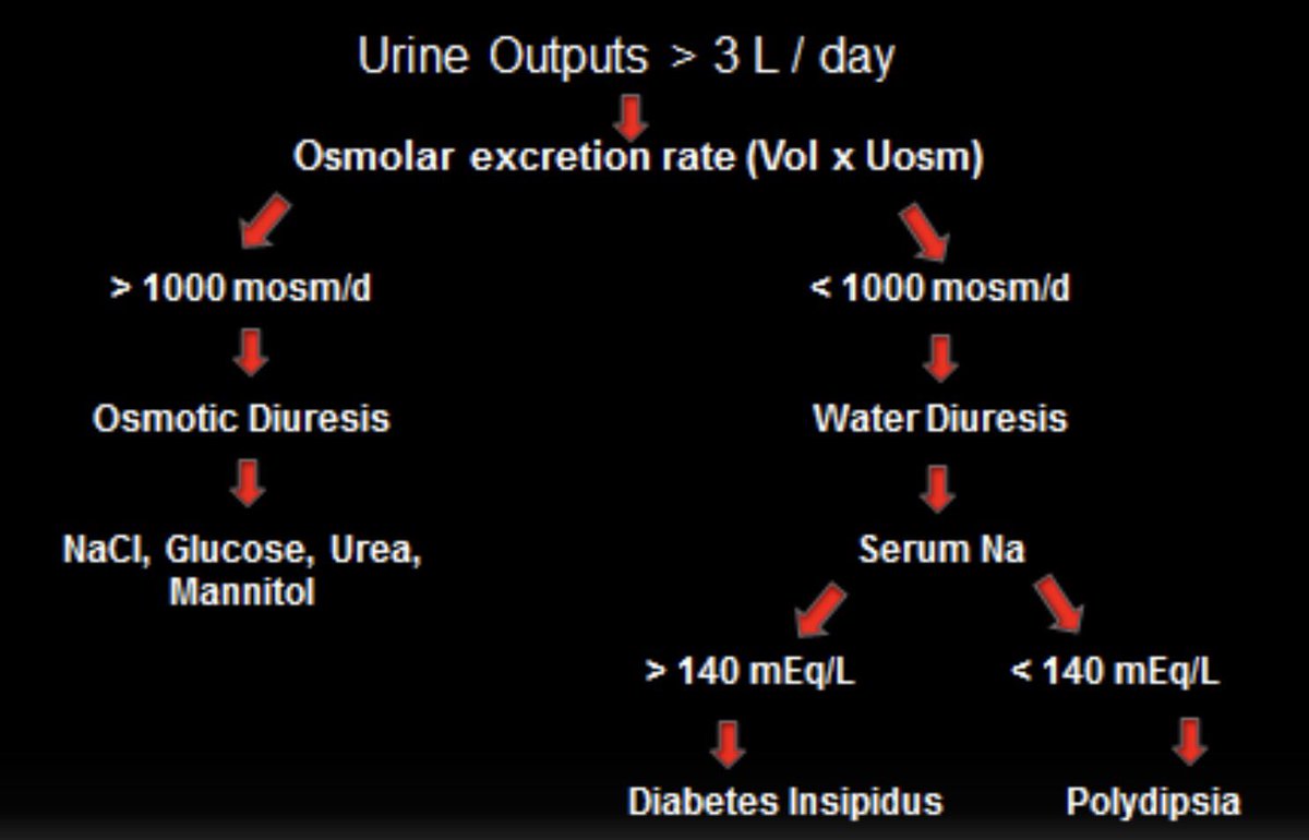 Nephrogenic Diabetes Insipidus Genitourinary Disorders Nephrogenic Diabetes Insipidus Genitourinary Disorders