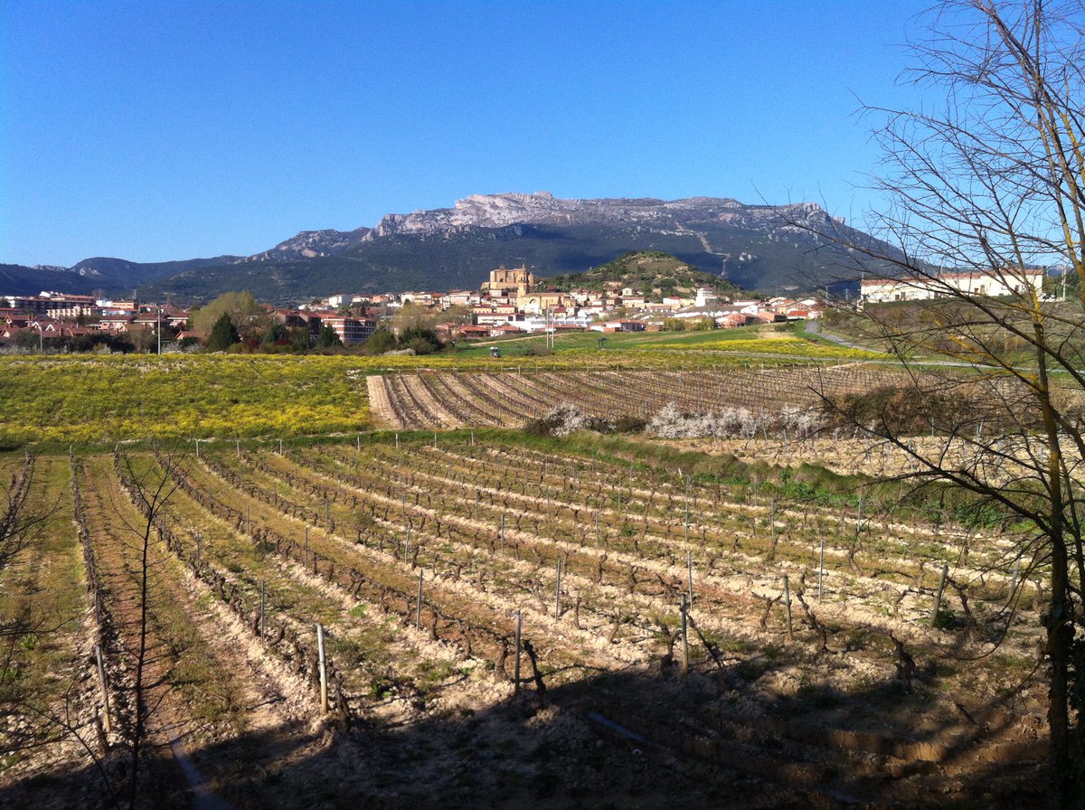 vinosconsolera's tweet photo. Hoy #Bodegasapiedecalle en #Labastida! Las bodegas de Labastida ofrecerán sus #vinos para el deleite de todos #Remelluri #Aimarez #Solagüen https://t.co/6gSMcx7wCd