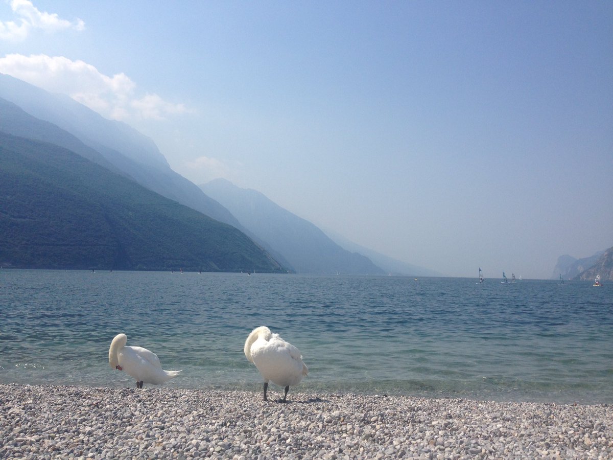 manugercom tweet picture