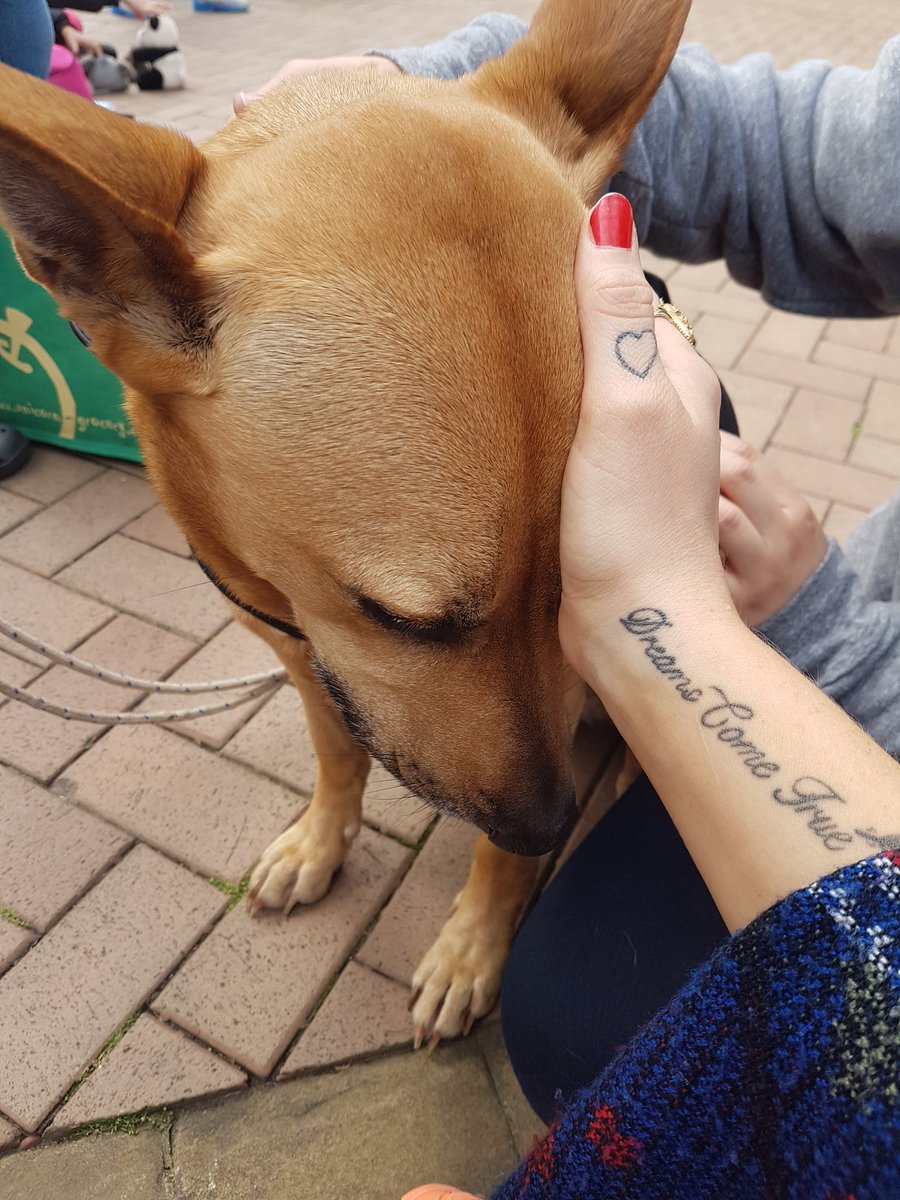 shakirafree's tweet photo. I had such a great time at @BrumWildFest. It is always wonderful to hear passionate people always encouraging positive campaigning. https://t.co/hMRAIs0LKe