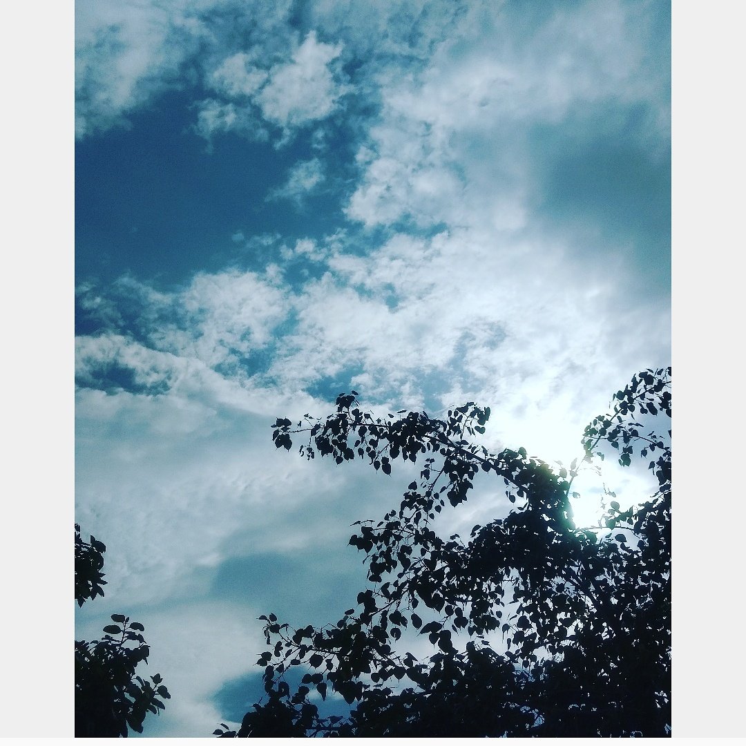 HappinesMagnet's tweet photo. Observing the Delhi sky and falling in love with these cotton candies. #Cloudgasm @SoDelhi @LBBIndia #IFoundAwesome https://t.co/kVQOBjmMi0