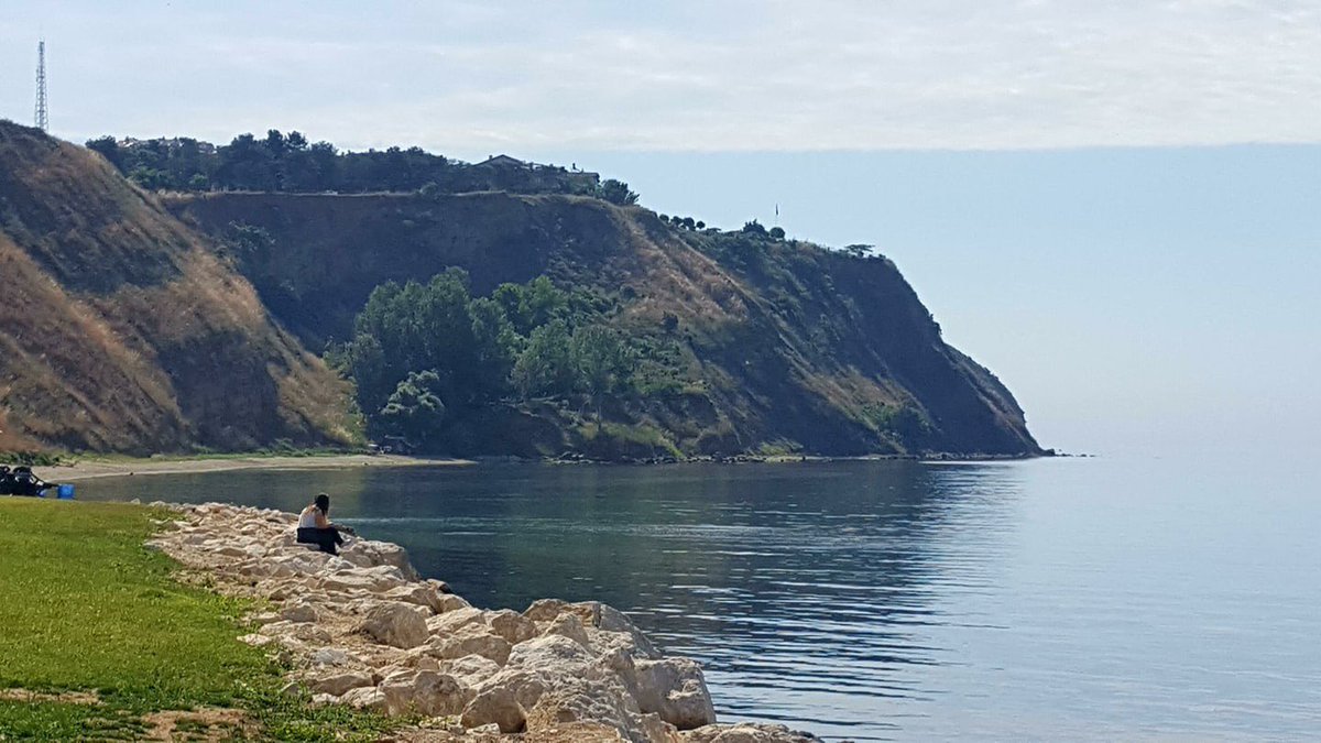 Bugün Silivri... Kerkenez yuvaları.

#Trakya'da #KuzeyOrmanları'nda termik santral istemiyoruz.

📷 <a href="/JoselifK/">elif köklü</a>