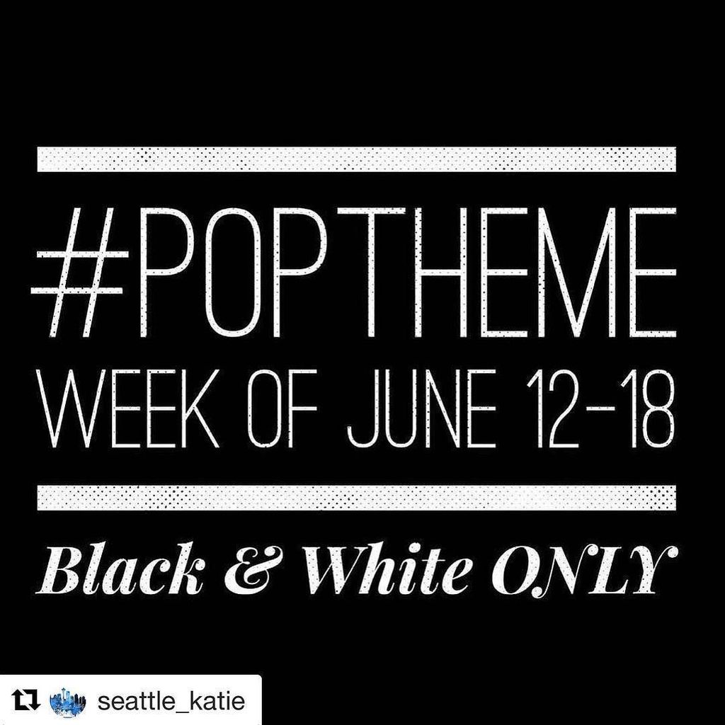 PplOverPlanners's tweet photo. Next week's #poptheme from @seattle_katie! https://t.co/gKEEapiUgT