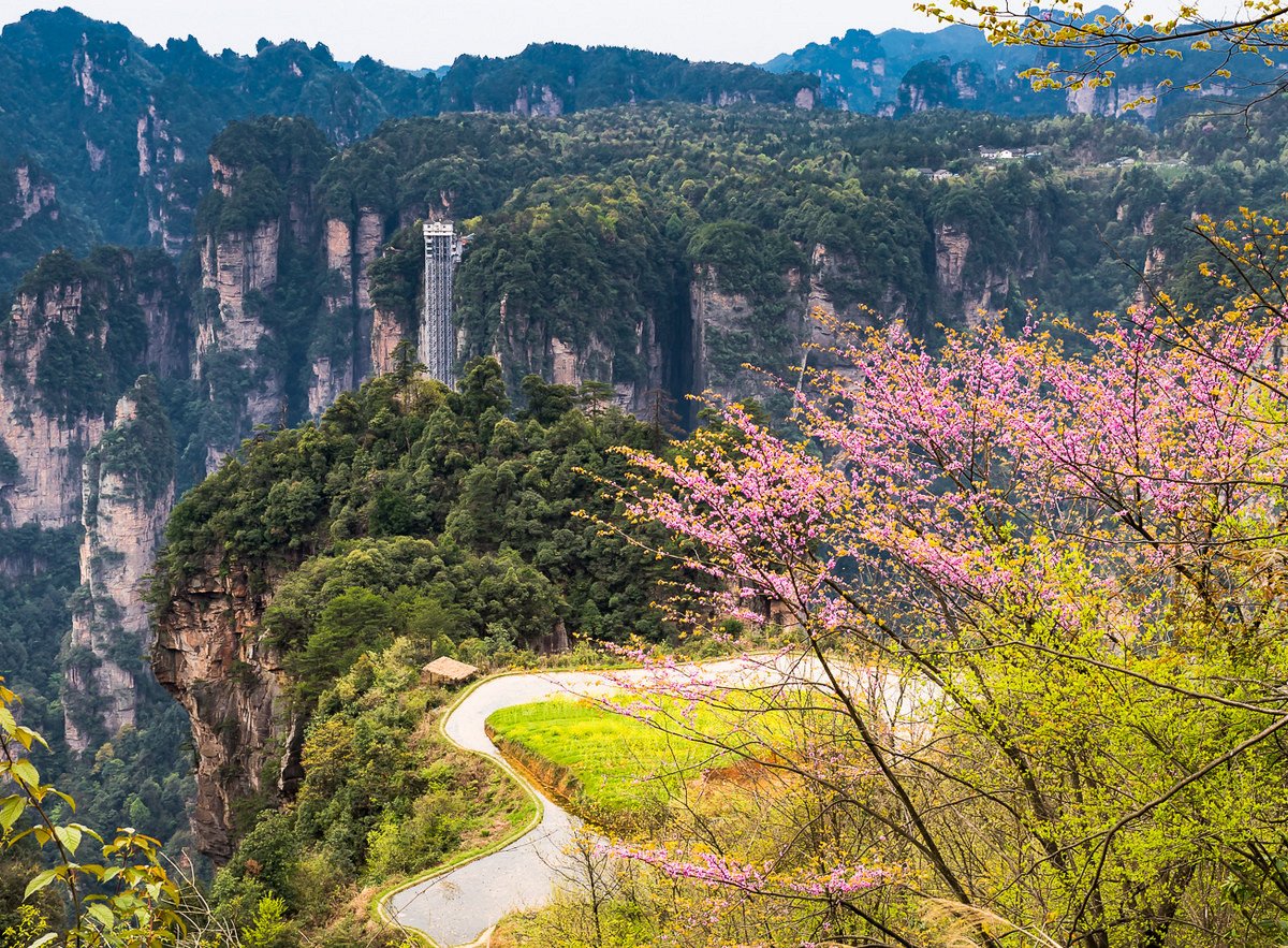 Image result for zhangjiejie