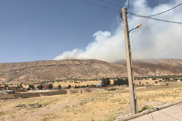truskesadeghi's tweet photo. again: #Zagross forests & ranges in #Kurdistan #Iran have fallen prey to blazing fires from 2 days ago
#ilam Forests, Bedre Mountains https://t.co/8da06Y4AEm