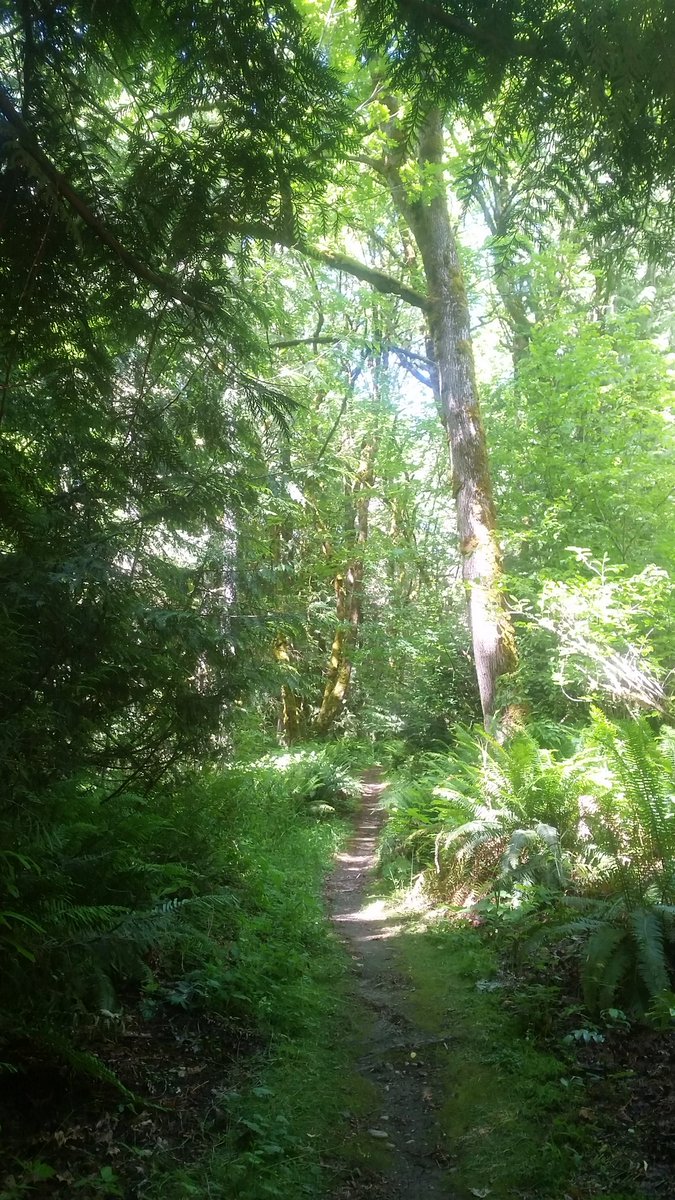 this is a very good gym, i recommend this gym