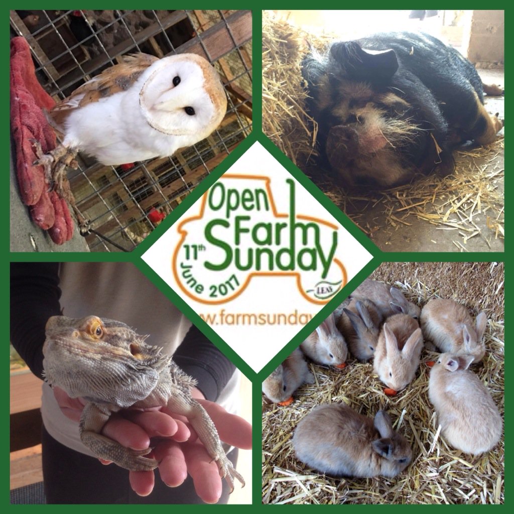 #openfarmsunday #freefarm Sunday 11th June