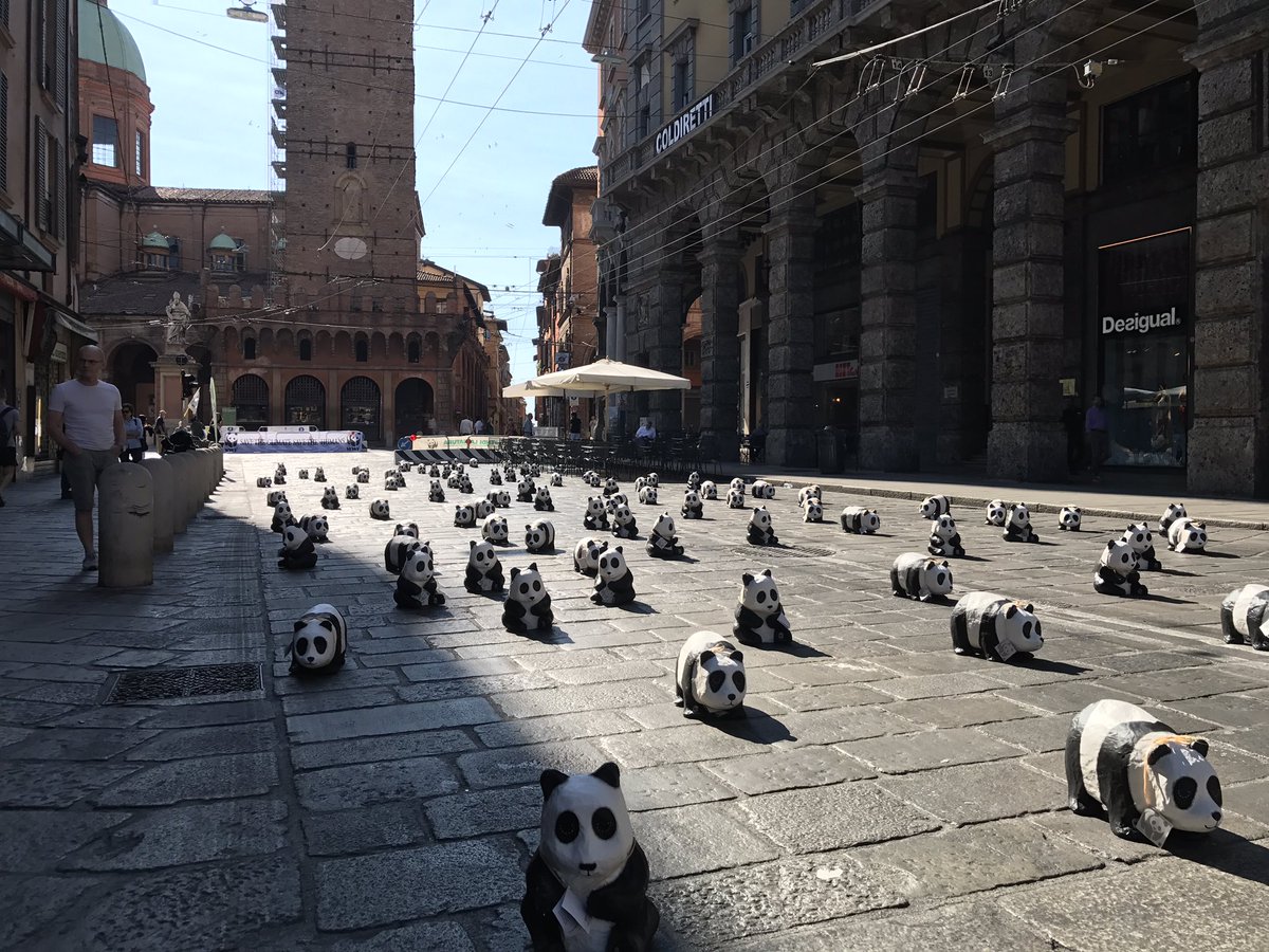 WWFitalia's tweet photo. Save the climate save the humans. Questo il messaggio dei pandini del @WWFitalia al #g7ambiente di Bologna @donabianchi1 https://t.co/28mteLcgs9