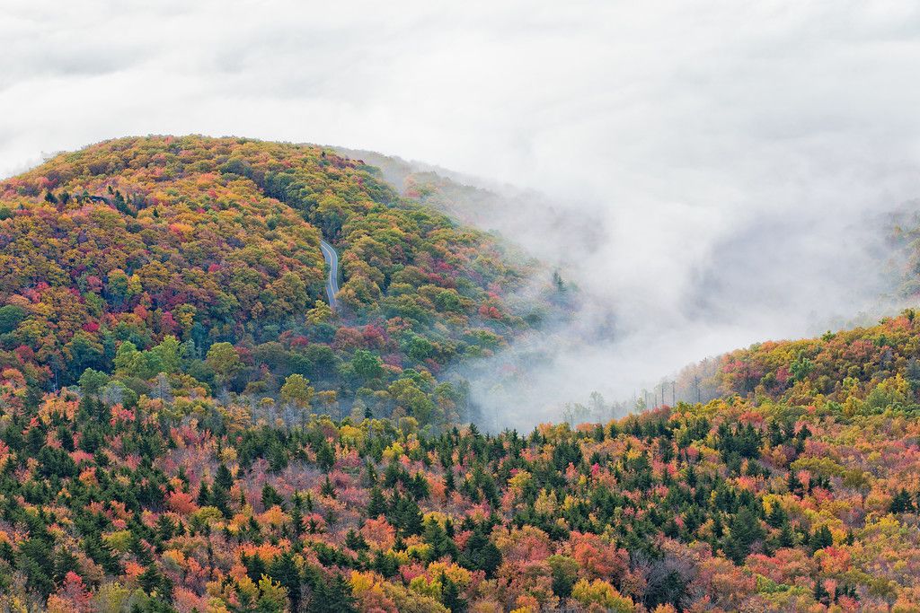 FluffioTP's tweet photo. North Carolina, US. #Travel &amp; #TravelPhotography https://t.co/Bh9Ec2Mxli