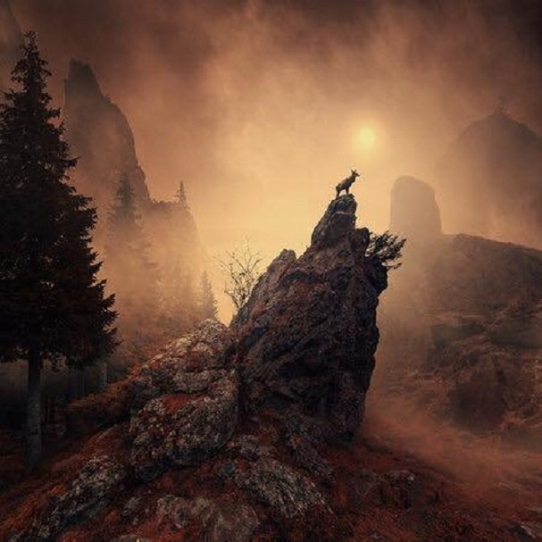 DorukErdal's tweet photo. Caras Ionut https://t.co/fAMp7ZjYZe