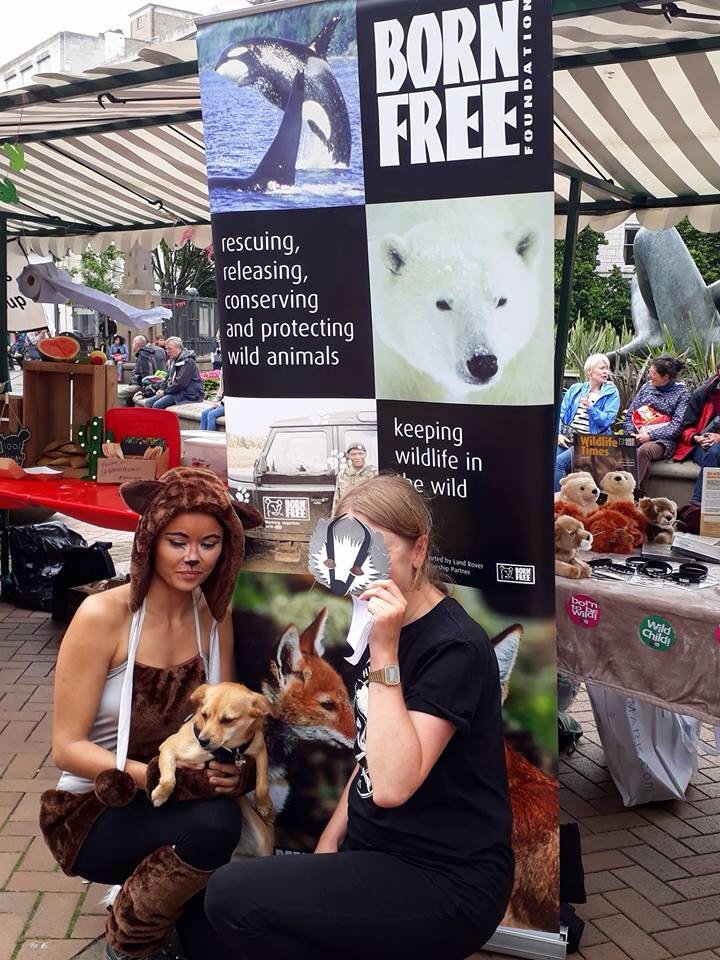 domdyer70's tweet photo. Great to see so much support for the work of the Born Free Foundation at Birmingham Wildlife Festival https://t.co/HhA4ra5wEw