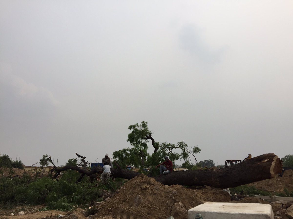 amitkumar0145's tweet image. This is Rajiv chauk gurugram @mlkhattar can we not cut trees to widen roads and find alternatives @narendramodi