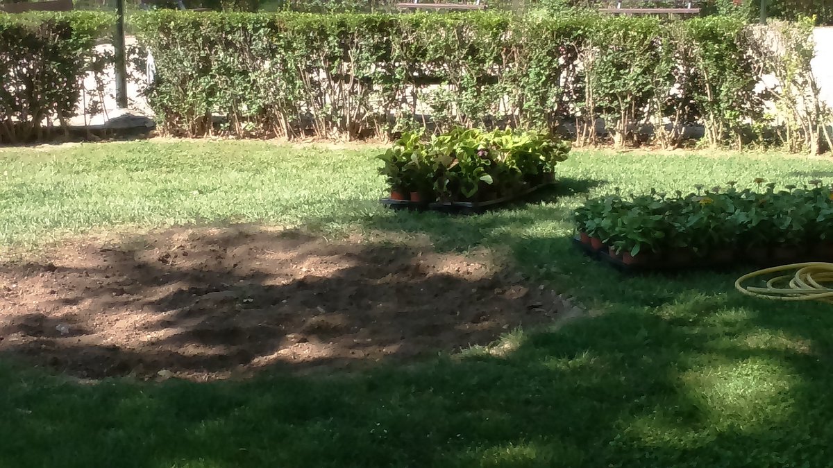 coordinadora11's tweet photo. Preparando #parqueoliver parterre puedes venir a plantar zinias y cóleos hoy domingo.@dDialoGa @Ecogranjero @CDAMAZ https://t.co/kFIYMB0JmO