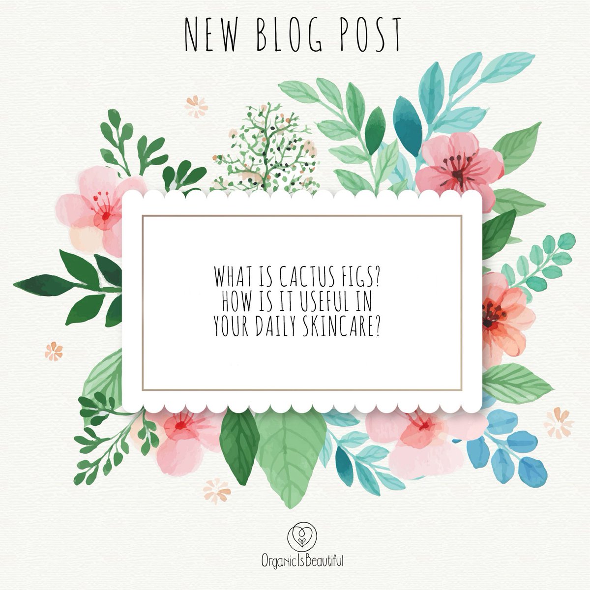 OrganicisB's tweet photo. Come and learn more at https://t.co/AbLDjUGoqY !! ;) #organicisbeautiful #blog https://t.co/vejA8yZgEI