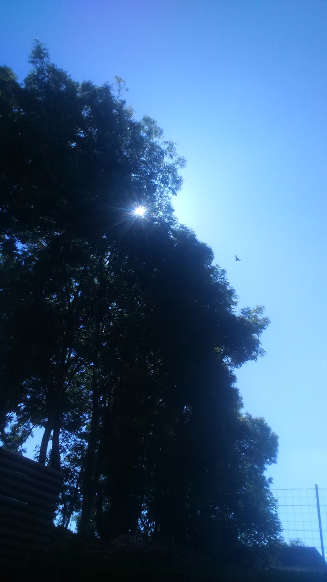 Sympacoool's tweet image. Une très belle journée qui s'annonce ☀ ☀ ☀