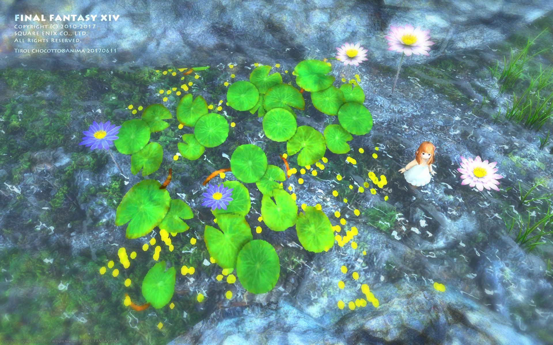 تويتر チロル Anima Ff14 على تويتر 各地の水辺で見る ピンクと紫の花 まるい葉もかわいくて好き 蓮 Ssはモードゥナ タングル湿林 Ff14tiltshift Ff14aw Ff14 T Co 4h25cdbone تويتر チロル Anima Ff14 على تويتر 各地の水辺で見る ピンクと紫の花 まるい葉もかわいくて好き 蓮 Ssはモードゥナ タングル湿林 Ff14tiltshift Ff14aw Ff14 T Co 4h25cdbone