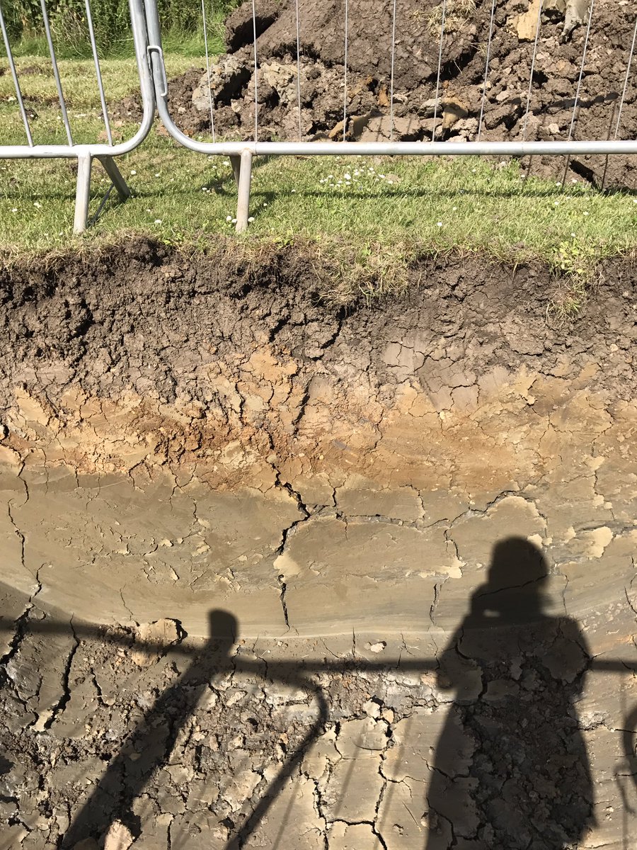 Charlotte Hawkins tweet media