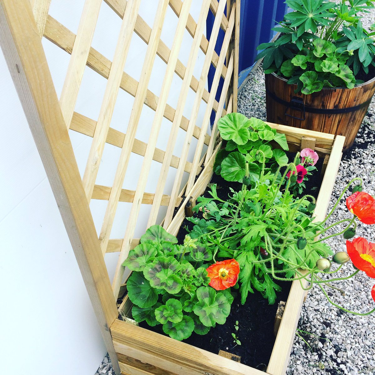 _spacesplaces's tweet photo. New planters at #Winsford are bloomin lovely! @fordsofwinsford @BlundellStreetL @Thompson_Parkes @WinsfordGift https://t.co/7uKYXSrIB4