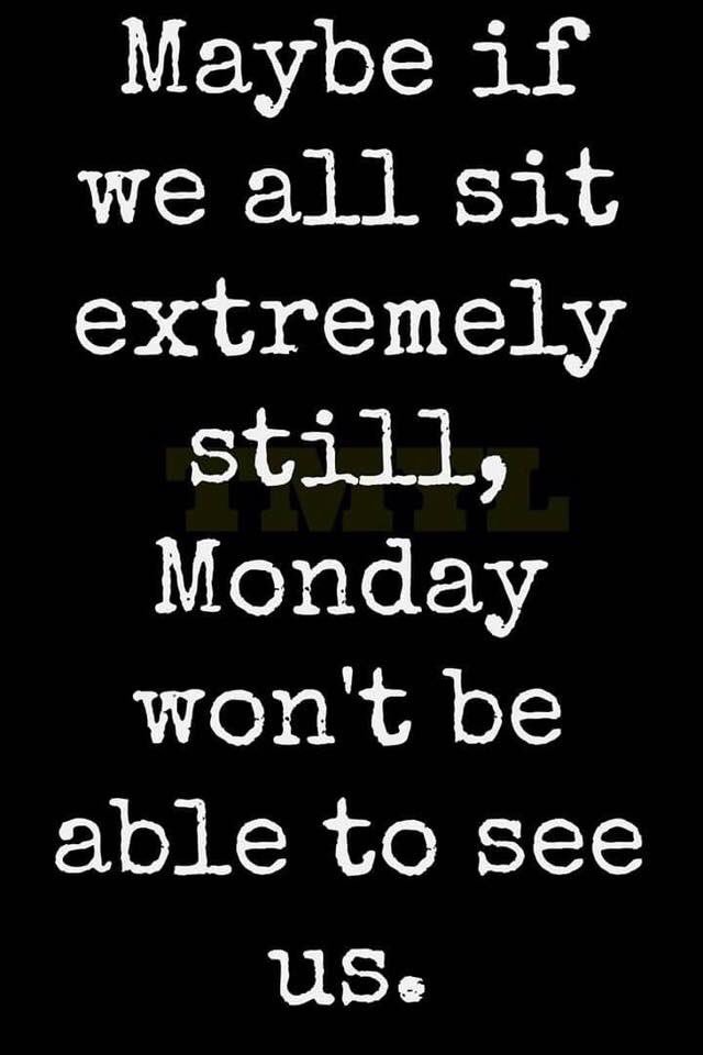 yvonneschwer's tweet photo. Hmmmm nobody move #avoidmonday https://t.co/lIdRqLo0oN