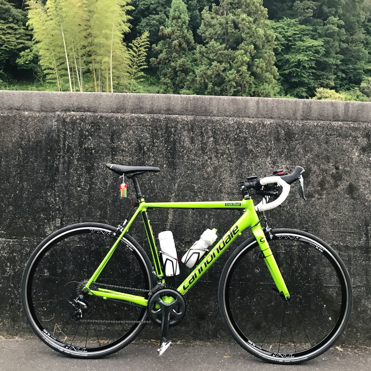 tadanomizukusa's tweet photo. 固定用
はじめまして水草です
水草号に乗ってます
よければ仲良くしてください)^o^(

#caadoptimo
#ロードバイク乗りと繋がった
#まじ水草 https://t.co/5R4nWD5msG