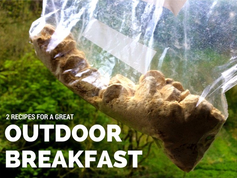 microadventure tweet media