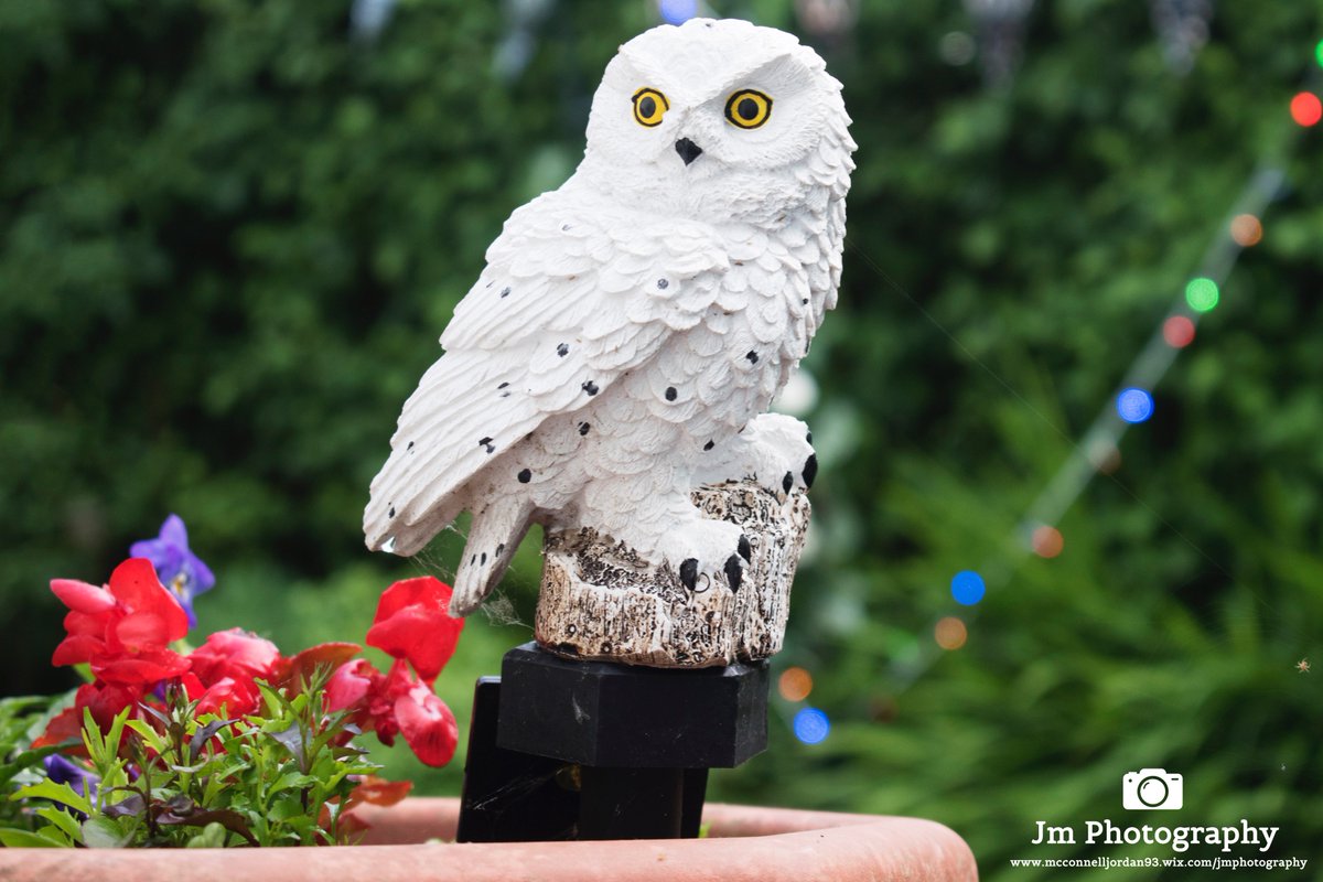 New Twitter Header. :-) Please Checkout My Website 👉  mcconnelljordan93.wixsite.com/jmphotography Or Visit My FB page for more images 👉 jm-images.co.uk