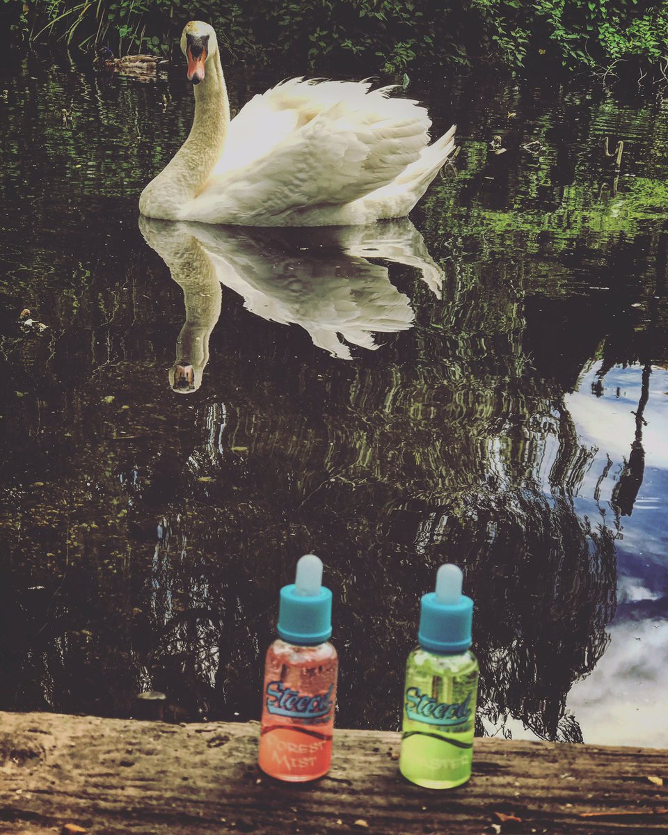 Doug1Ton's tweet photo. My new sponsor steepd juice #vape #vaper #eliquid #vaping #vapelife #vapelove #vapefam #vapedaily #cloudchaser #cloudchasinguk https://t.co/vo9RkS38B0