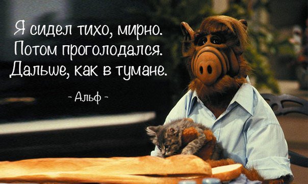 Nastya Kovalenko (@kovalenk_nastya) on Twitter photo 