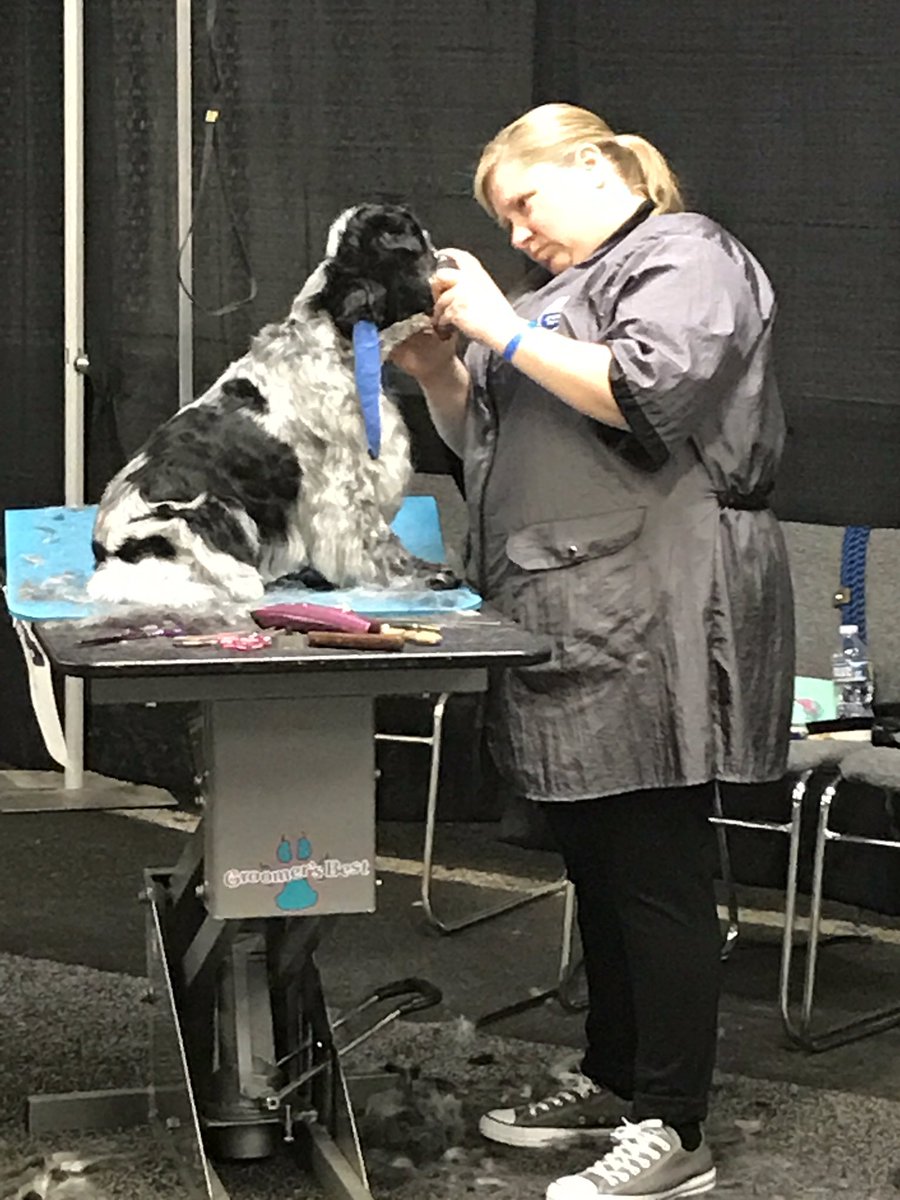 Kristie and Grissom working hard for <a href="/TeamPetSmart/">PetSmart Grooming Team</a> <a href="/JoannaZucker/">Joanna Zucker</a>