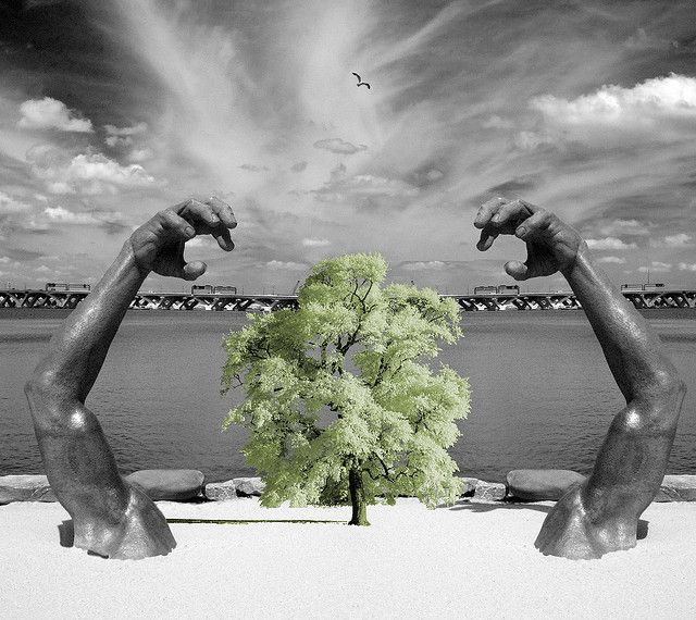 ThinkNamibia's tweet image. What does it mean to be environmentally friendly? #environment #thinkNamibia
buff.ly/2t5bNA8