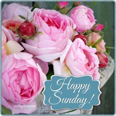 FarmersMarketFL's tweet photo. Happy Sunday! Our Tamarac farmers market will be open at 9 at Southgate and Veterans park.  See you soon. https://t.co/LscbHYvtED