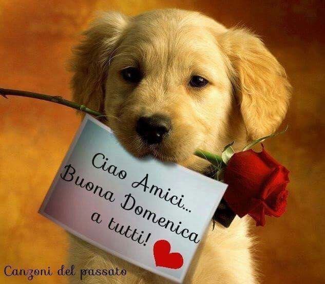 @annabelmonte50 <a href="/BiscardiAngelo/">Angelo Biscardi</a> <a href="/Piugiuseppe1/">@piu giuseppe</a> <a href="/rossanafrancio1/">Rossana Francioso 🐦</a> <a href="/LeneLepre/">Lena Lepre</a> <a href="/BGrisafi/">Barbara Grisafi</a> <a href="/AnnaRDelorenzo/">Anna ❤ De Lorenzo</a> <a href="/LicitraCarmela/">carmela licitra</a> <a href="/PaoloGuagnano5/">Paolo Guagnano</a> <a href="/nuvola1000/">Anna</a> <a href="/coffeebreak22/">Happy Go Lucky</a> @23Fabry15 <a href="/pasquinamrc/">maria assunta</a> @Giovann08014433 <a href="/cguastalvino/">CristianaGuastalvino</a> <a href="/LombardiLomby67/">luisa lombardi</a> Buona domenica Anna e tutti 😆👄👄❤❤❤❤
