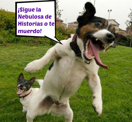 SilviaBG135's tweet photo. <<Blog ladrador, poco mordedor>> #nuevapromocióndelaNebulosa #siguemiblog #refranesalestiloNebulosa
https://t.co/VjUWP8mUf7 https://t.co/ZhyMLeHe68