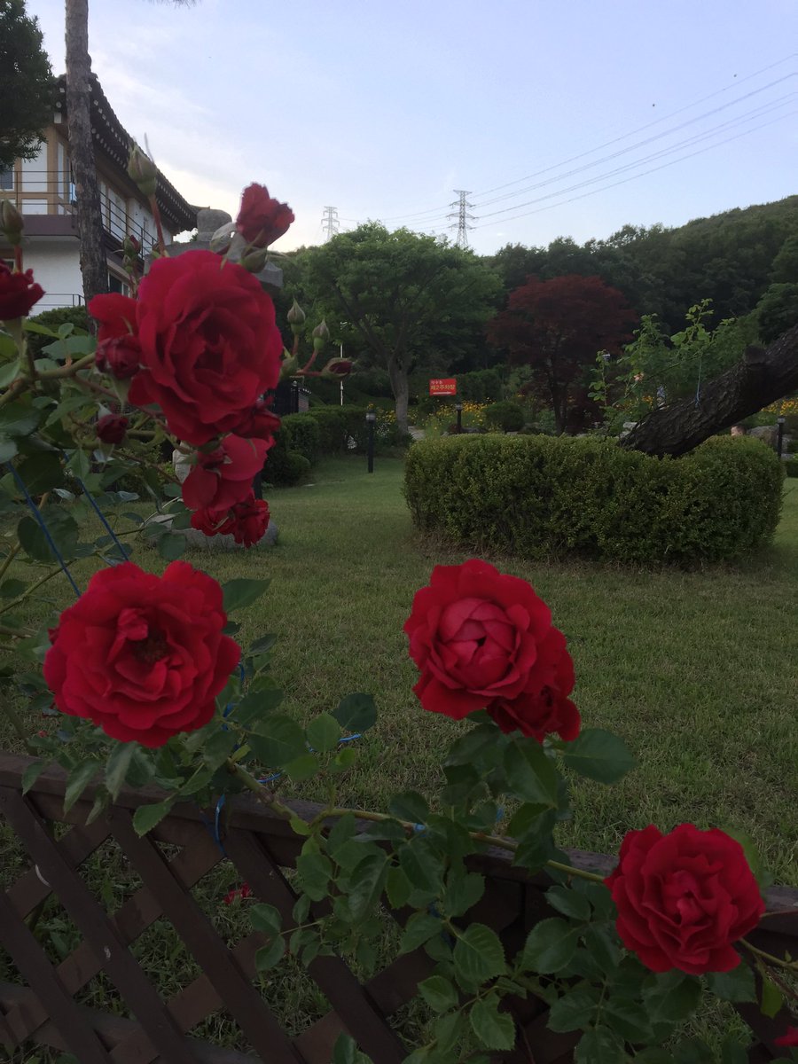 whisper (@namyeob12171012) on Twitter photo 