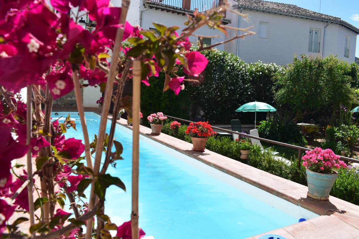 DeRamilla's tweet photo. @El_kabra @turgranada Si quieren, pueden reservar un apartamento en un Carmen tipico, muy precioso en el  Albayzin ! Nuestra pagina web : https://t.co/mnJmPGl0uz https://t.co/I44nkeeJbz