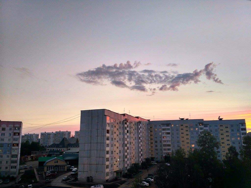 空を飛ぶクジラ