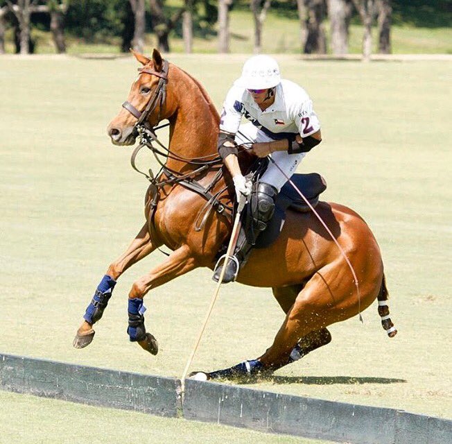 AllProPolo's tweet photo. #MOOD: #APPLplayer Matt Coppola keeps his cool by the boards 🤙🏽 #FullSpeedPolo #APPL #Polo https://t.co/MifwVrcqQ8