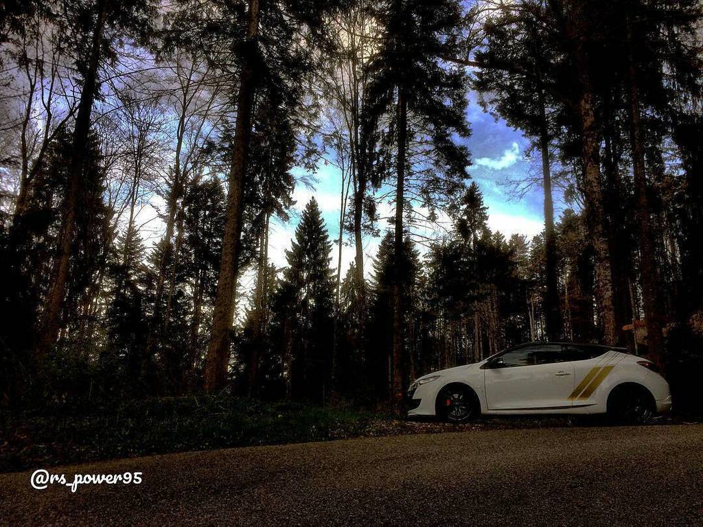 TurboRenault's tweet photo. @rs_power95 - 🌲🌳 #renaultsport #renaultclub #renaultmegane #megane #meganers #instamegane #320ch #320hp 
#rs #rsal… https://t.co/8eKE7Ol6RX https://t.co/yF2gGQkhQq
