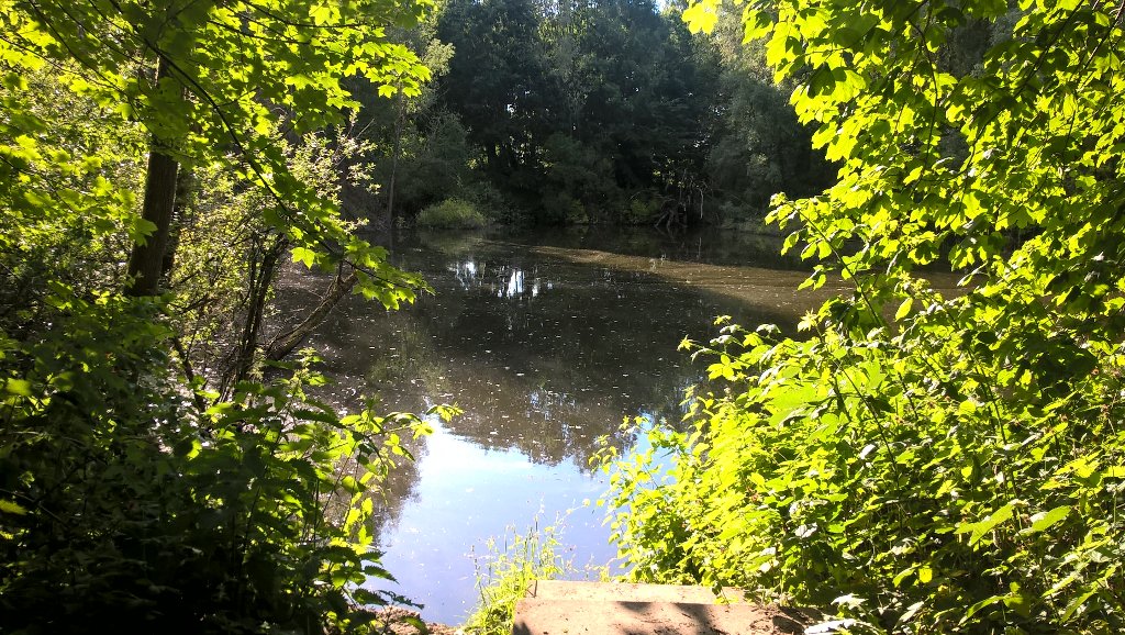 Zomerse temperaturen met zomerse herinneringen #Terworm #Heerlen #visitparkstad