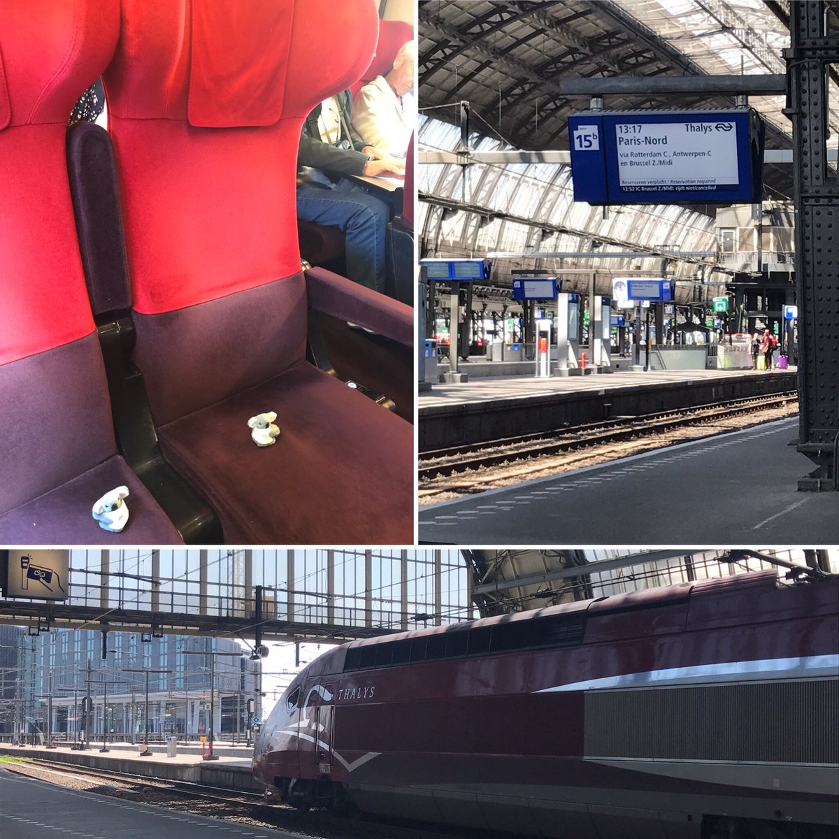 metacoda's tweet photo. On our way to #Brussels!!!! #Thayls #train #traintravel #SFBL17 https://t.co/nZuPY4xHl2