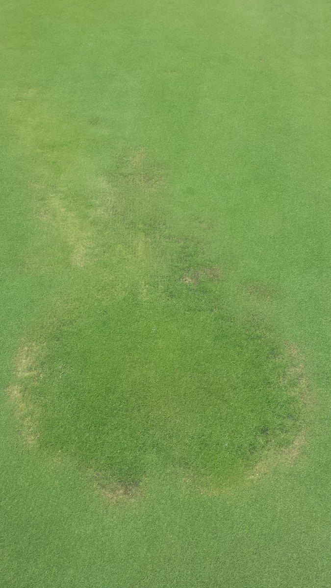 peteorten's tweet image. Fighting against #takeallpatch #fungicidefree #culturallabor