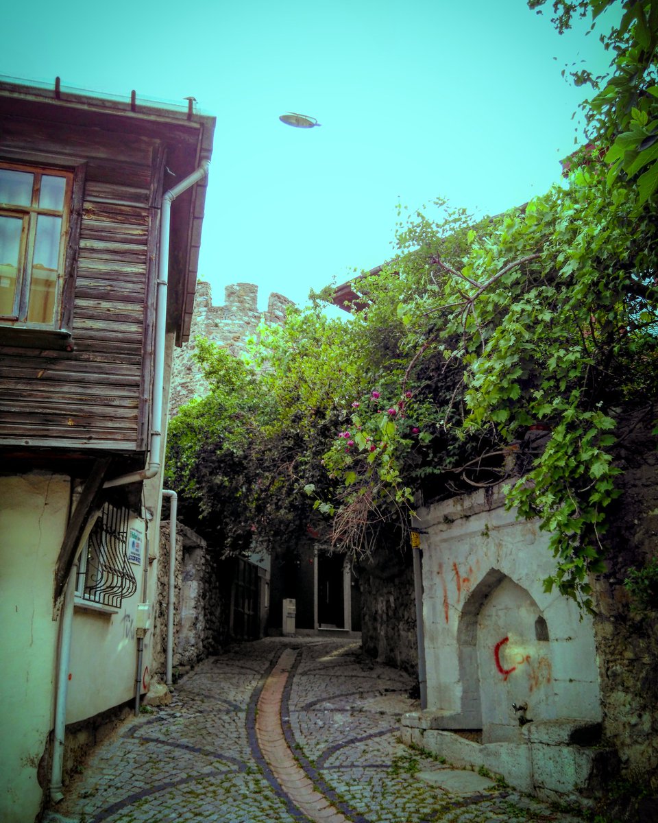 Yıldırım Ağanoğlu tweet media