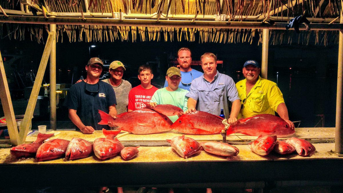 JChoate38's tweet photo. Best red snapper trip ever. Thanks Todd Duff, and Jennifer with StatboatdCharters in Pensicola, FL. Special thanks to Cpt Chaz Heller. https://t.co/hStbxglrtU