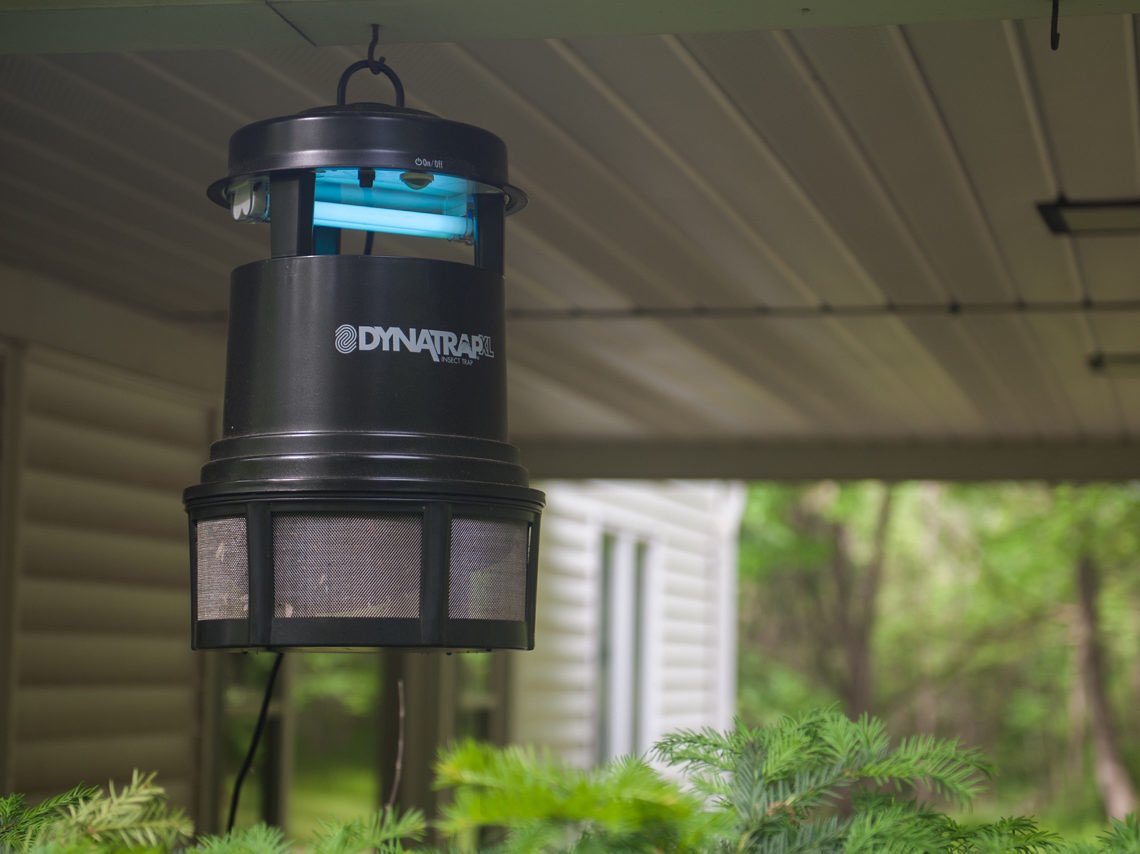 Dadsigner tweet media