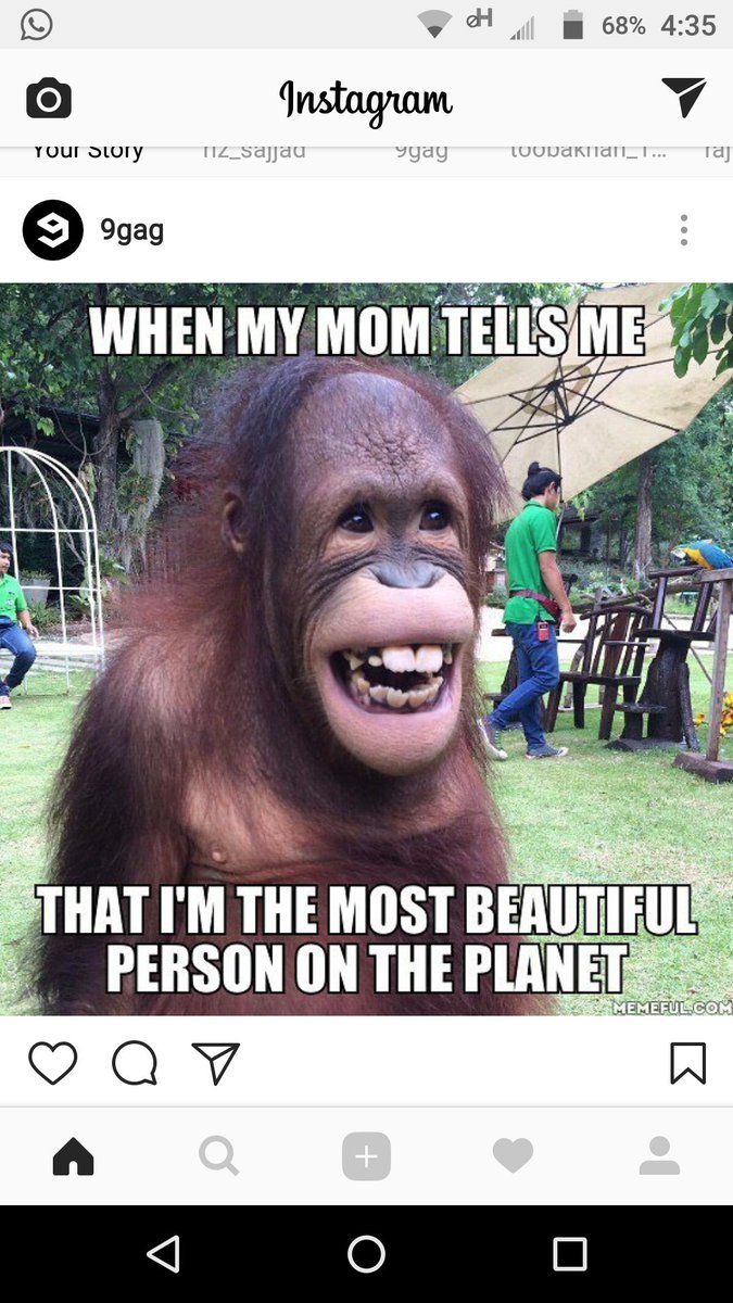 For the love of animals (@alisaqib382) on Twitter photo 