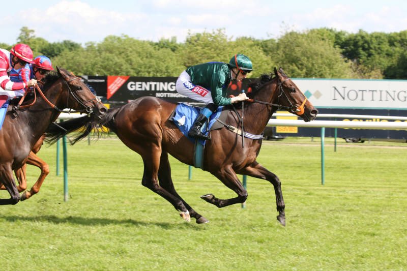RacingHOTSR's tweet photo. Dragons Voice returns to his winning track @NottsRacecourse today. The soft ground will suit &amp; we are hopeful of another big run! #hotsr 🏇 https://t.co/ACiJ1TqdWY